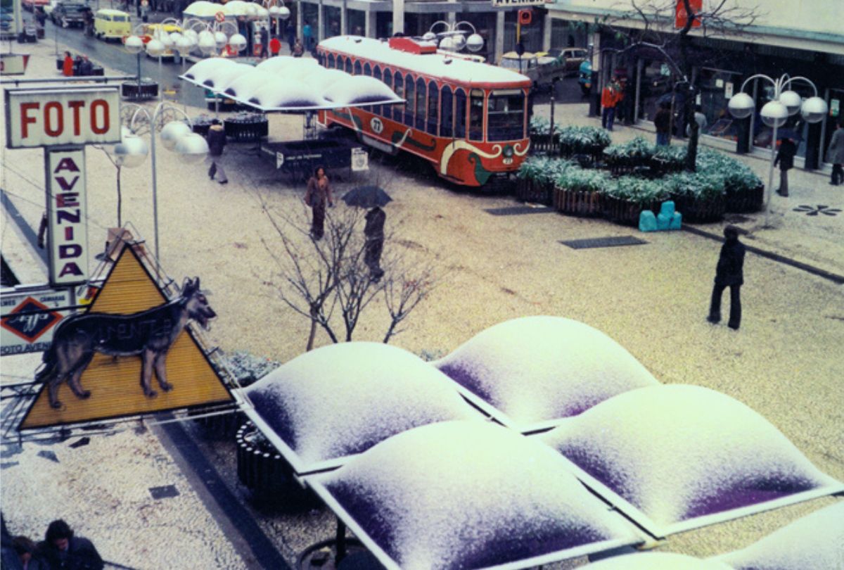 O inverno que entrou para a história: 50 anos da neve em Curitiba