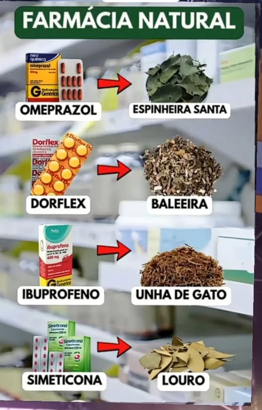 teste anuncio 666
