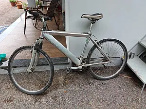 Bicicleta duas rodas